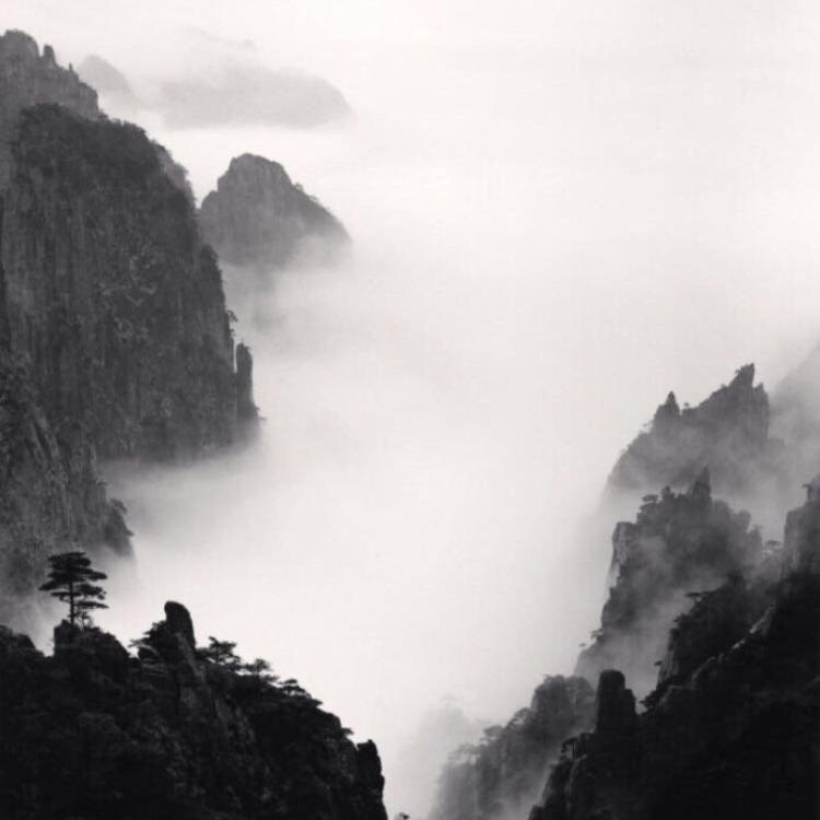 永野芽郁（饰 三条燕） - 无码高清资源在线观看 - 手机追剧